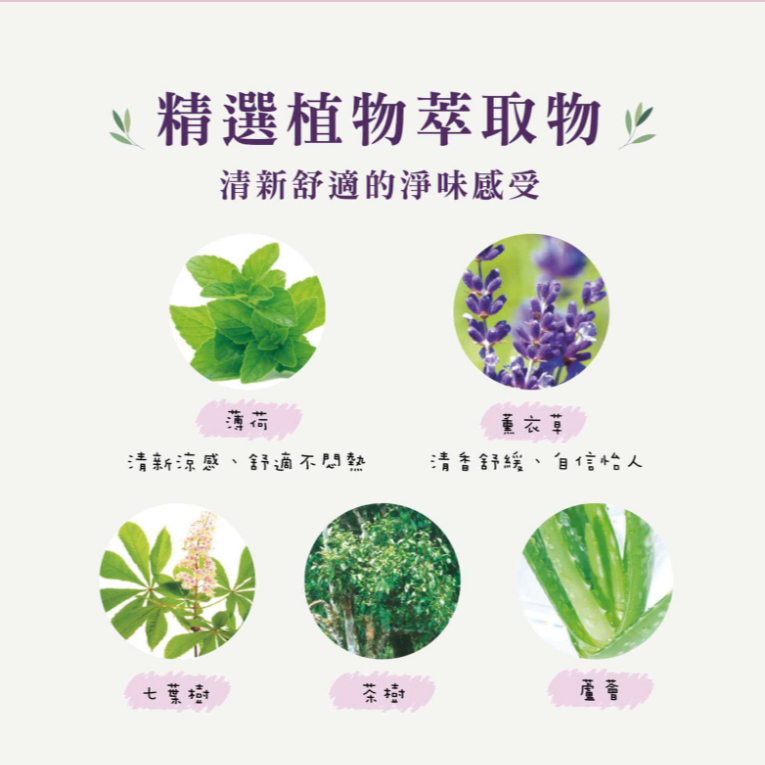 ✨cosway科士威 舒馥蕾超薄衛生棉 薰衣草香味 超薄草本衛生棉 草本涼感衛生棉 日用/夜用/護墊 舒馥蕾 護適康-細節圖7