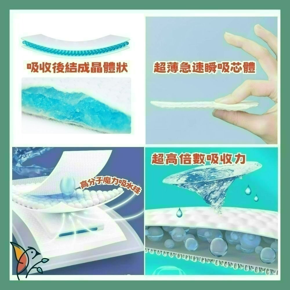 🎀限時下殺🎀護適康衛生棉 草本、涼感衛生棉 日用/護墊/夜用/夜用加強型 珍愛一生 💕護您一生竹炭衛生棉 科士威-細節圖10