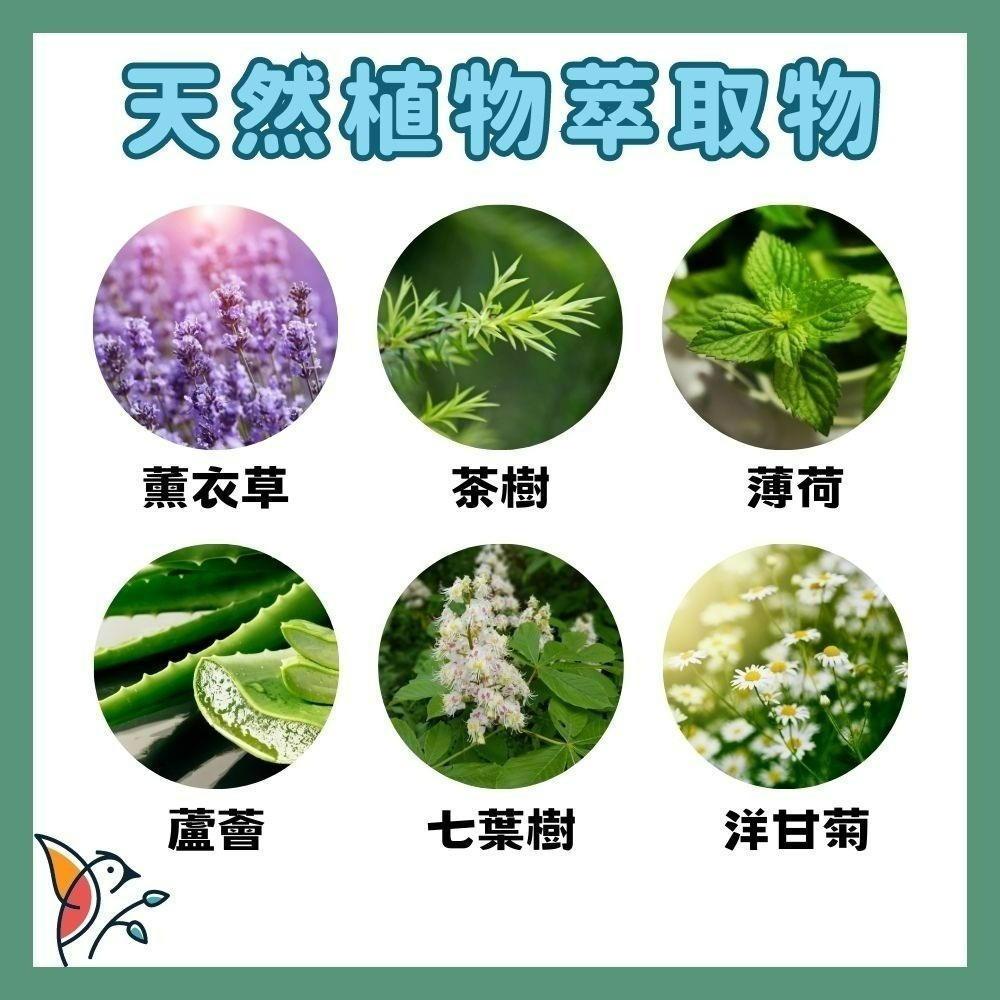 護適康📣(夜用型) 護您一生竹炭草本抗菌衛生棉🎍竹炭芯片 涼感衛生棉 草本衛生棉 護您一生竹炭衛生棉 護適康衛生棉-細節圖4