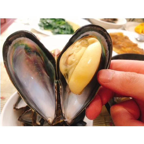 馬祖的新鮮淡菜-細節圖2
