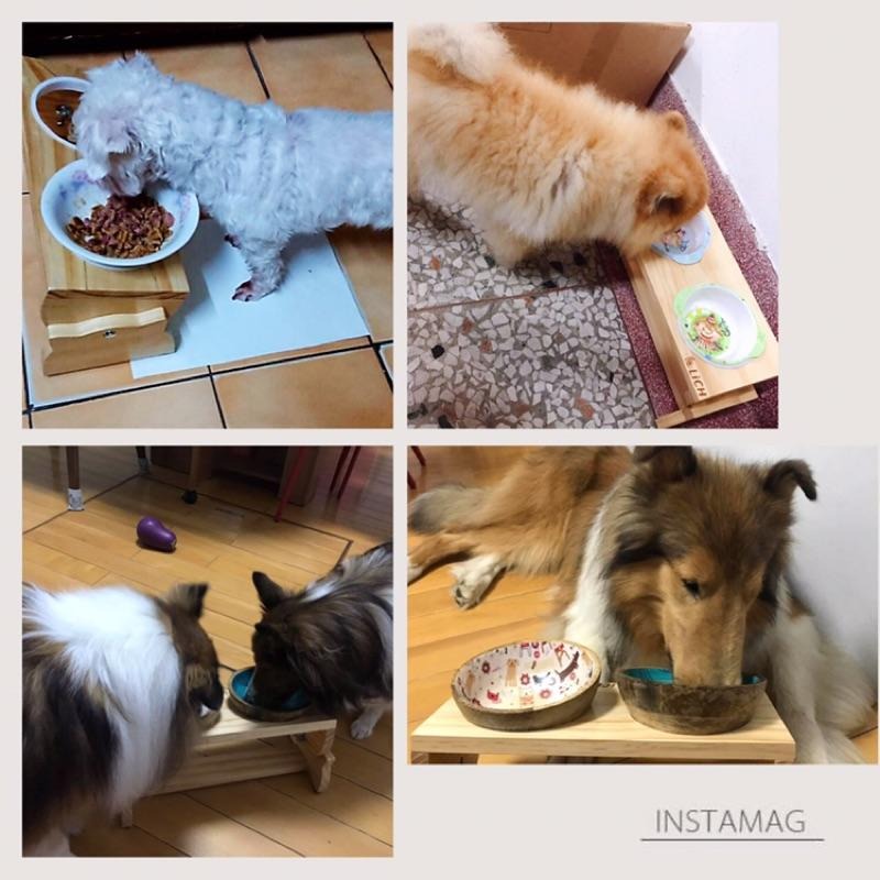 【LiCH】A111 台灣製 紐松實木雙碗寵物餐桌 專利無段調節餐桌高度及角度 寵物餐桌 餵食桌 飼料架 貓 狗寵物皆可-細節圖6