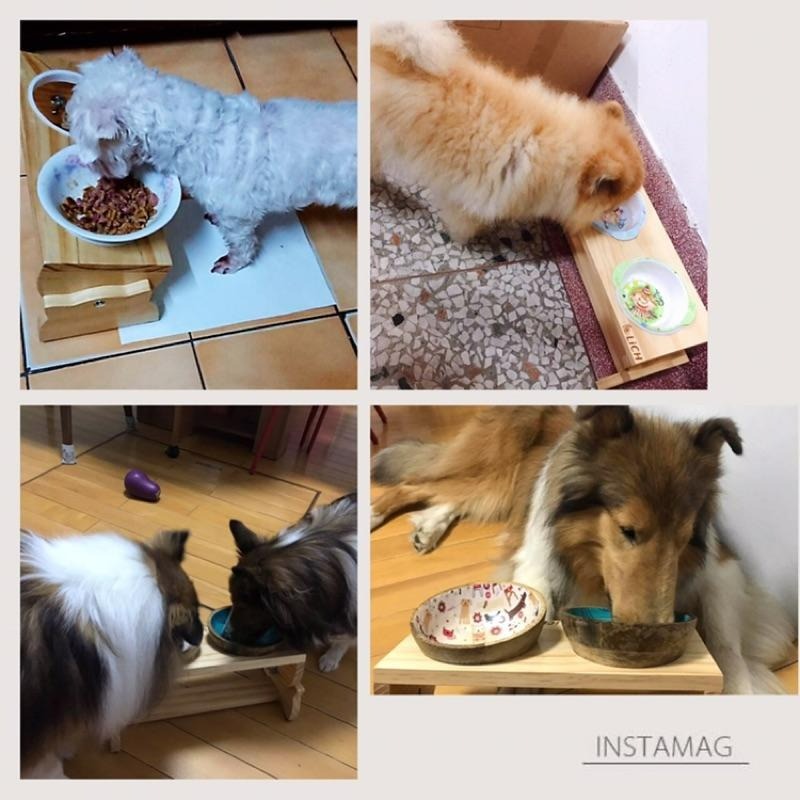 【LiCH】A111 台灣製 紐松實木雙碗寵物餐桌 專利無段調節餐桌高度及角度 寵物餐桌 餵食桌 飼料架 貓 狗寵物皆可-細節圖6