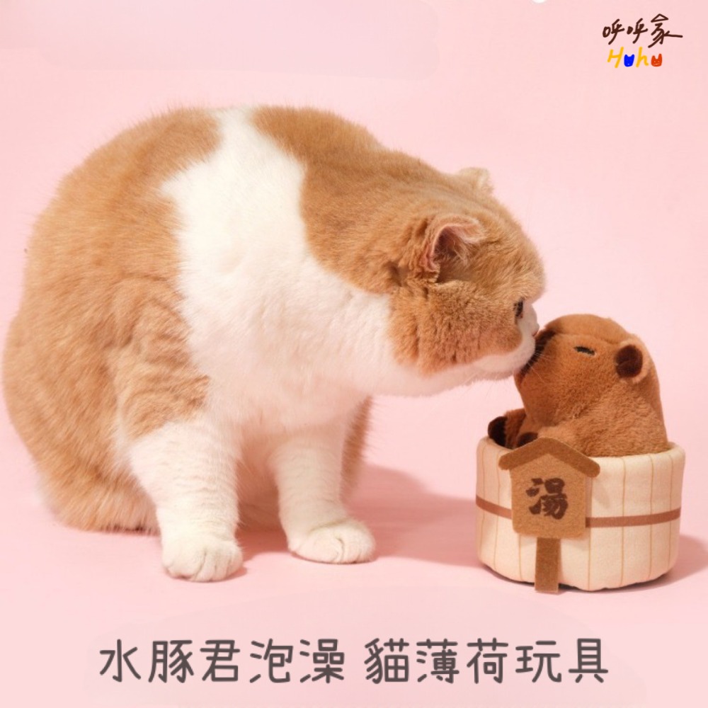 噗扑實驗室 水豚泡澡貓咪藏食玩具-規格圖3