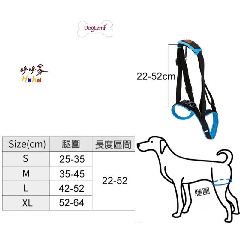 寵物後腿輔助帶 殘疾高齡受傷寵物 腿部背帶 走路輔助-細節圖8