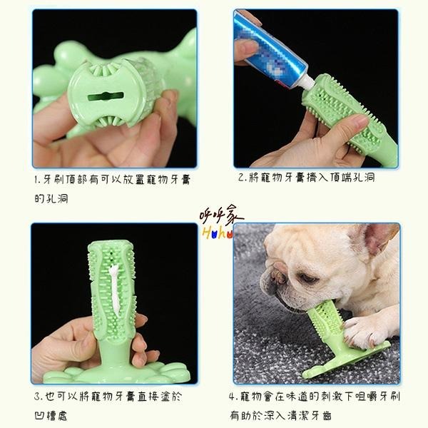 台灣現貨24H出🙌🏻 狗狗自助牙刷 中大型犬自助牙刷-細節圖2