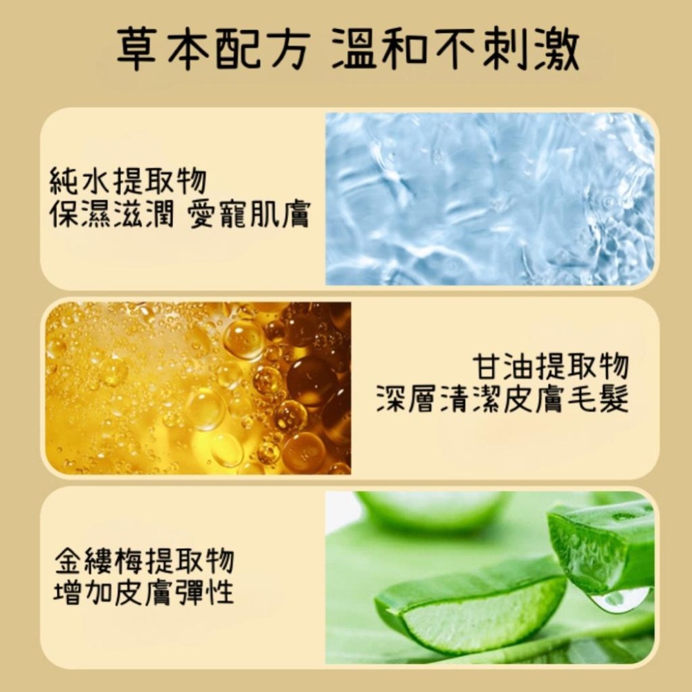 KIMHOME 寵物手套濕紙巾 一包6片 清潔去汙 乾洗澡-細節圖2