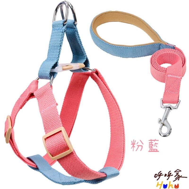 台灣現貨出貨 寵物撞色胸背牽引繩 拚色牽引繩-細節圖8