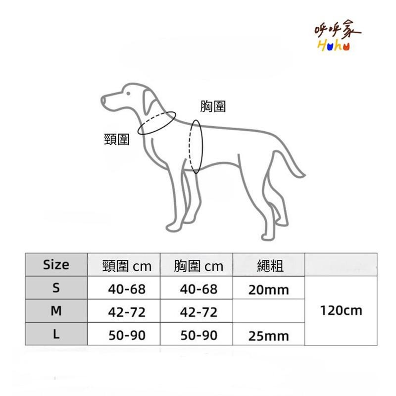 台灣現貨出貨 寵物撞色胸背牽引繩 拚色牽引繩-細節圖9