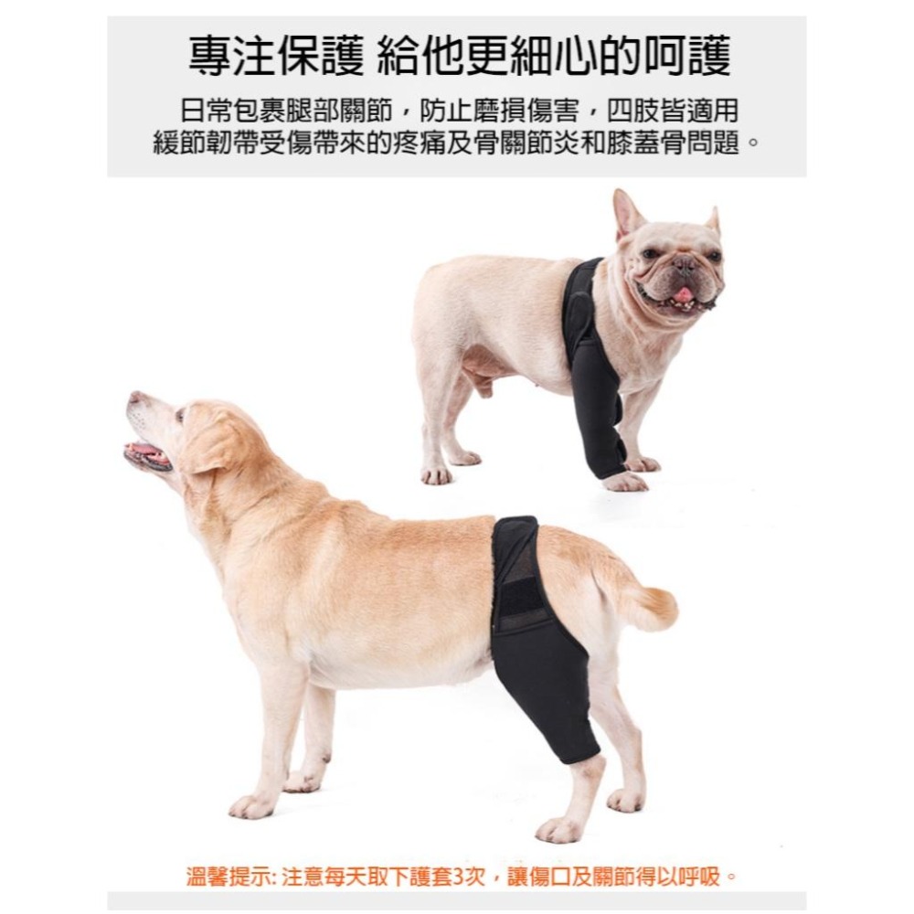 台灣現貨出貨🙌🏻 寵物關節護具 骨折殘疾固定 護膝 四肢通用-細節圖4