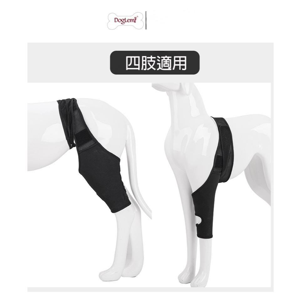 台灣現貨出貨🙌🏻 寵物關節護具 骨折殘疾固定 護膝 四肢通用-細節圖5