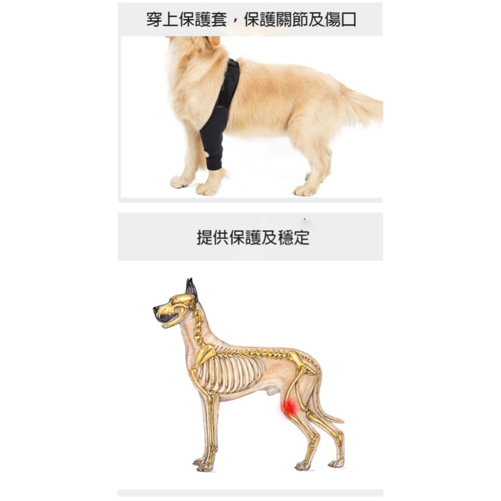 台灣現貨出貨🙌🏻 寵物關節護具 骨折殘疾固定 護膝 四肢通用-細節圖6