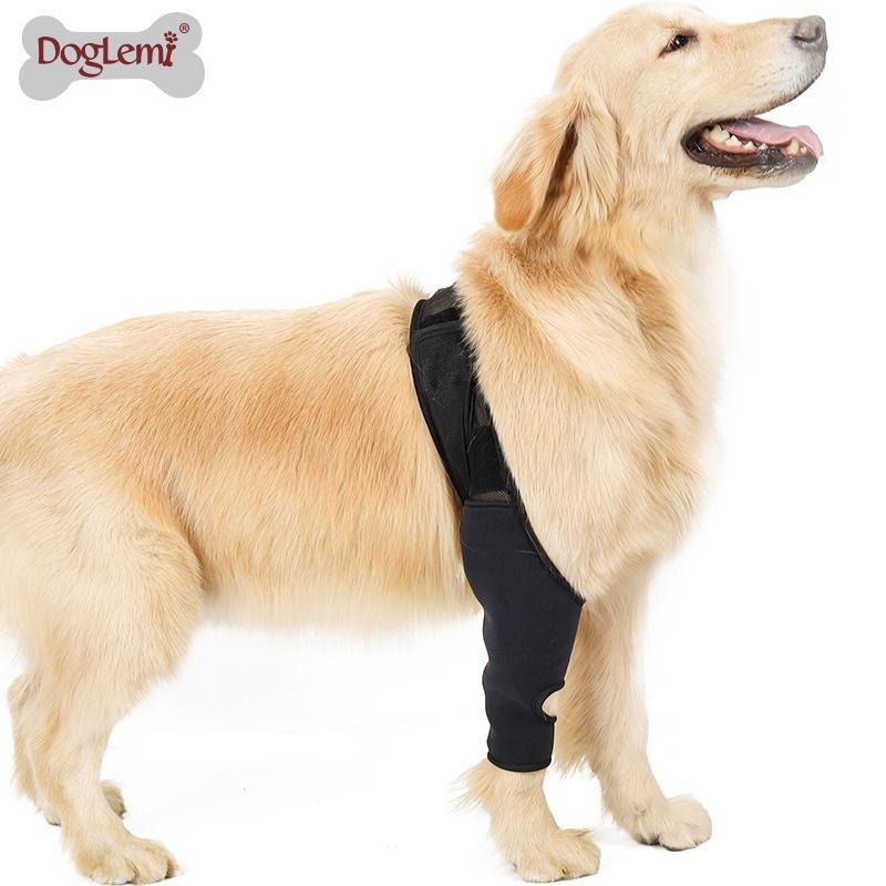 台灣現貨出貨🙌🏻 寵物關節護具 骨折殘疾固定 護膝 四肢通用-細節圖7