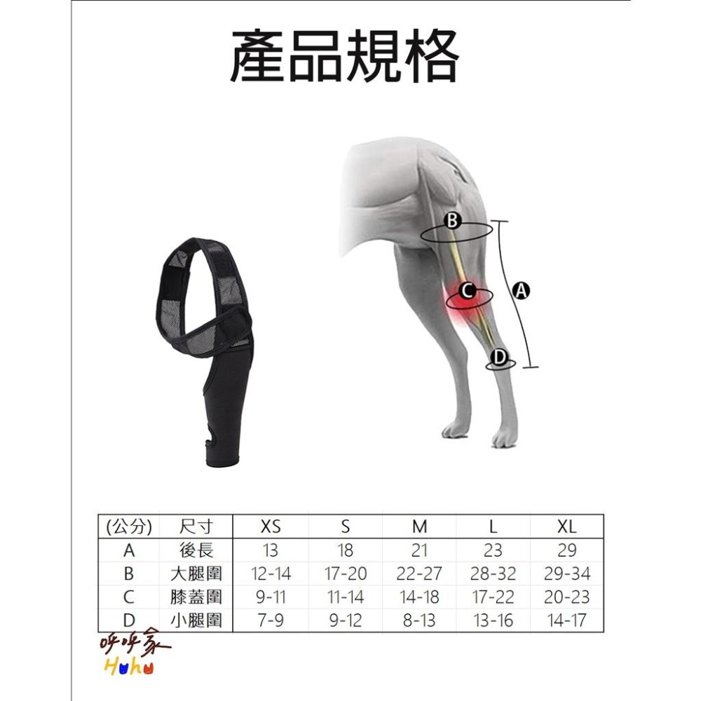 台灣現貨出貨🙌🏻 寵物關節護具 骨折殘疾固定 護膝 四肢通用-細節圖8
