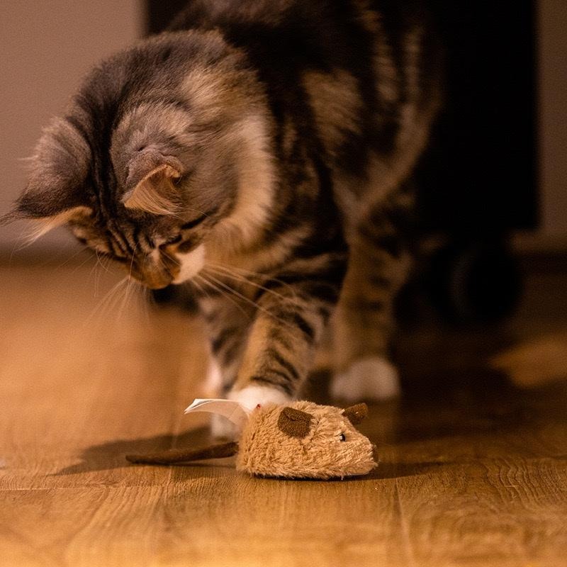 台灣現貨24H出🙌🏻賣場多優惠🔥GiGwi貴為 超好玩的滑輪老鼠 貓咪追老鼠-細節圖3