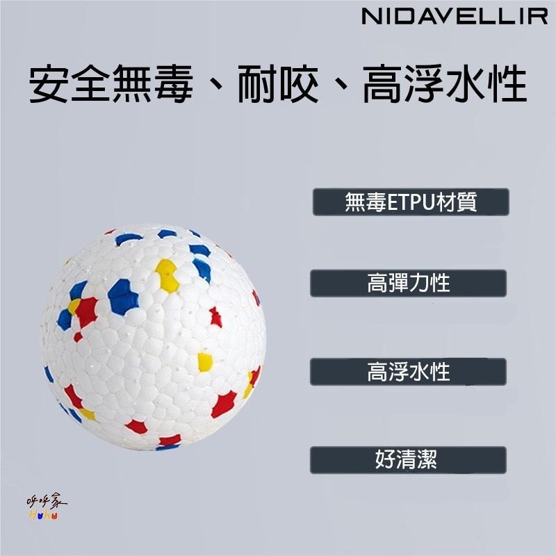 台灣現貨24H出🙌🏻 熱銷推薦🔥 水空陸皆可玩 Nidavellir超耐咬狗狗爆米花球 爆米花拉環 ETPU 狗狗玩具-細節圖5