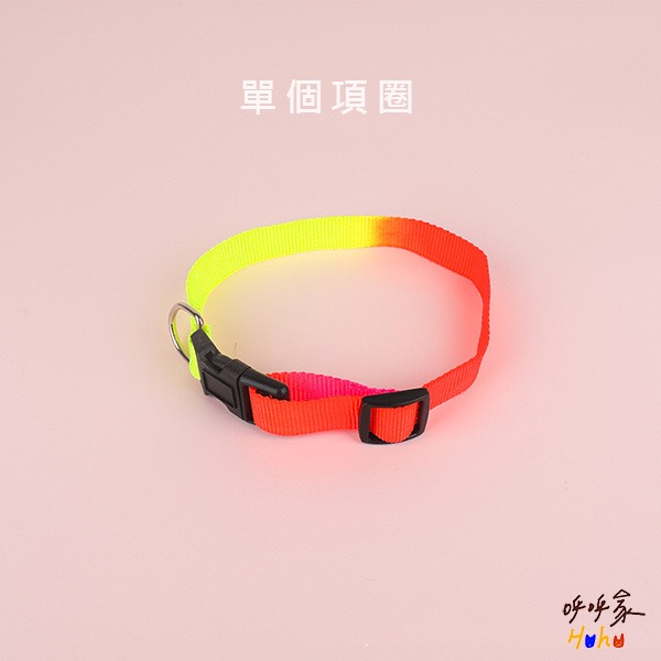 台灣現貨24H出🙌🏻划算🔥寵物七彩霓虹胸背 七彩霓虹牽引繩 七彩霓虹項圈-規格圖2