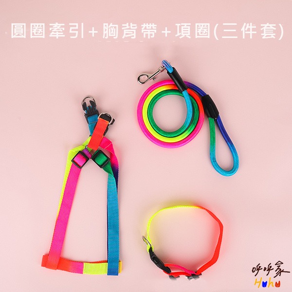 台灣現貨24H出🙌🏻划算🔥寵物七彩霓虹胸背 七彩霓虹牽引繩 七彩霓虹項圈-規格圖2