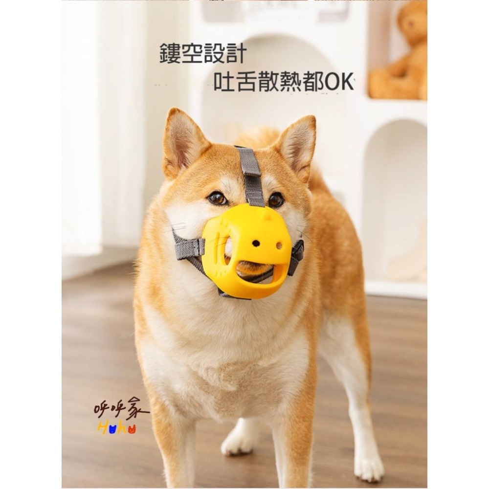 寵物矽膠嘴套 防咬防舔防叫 貓狗-細節圖2