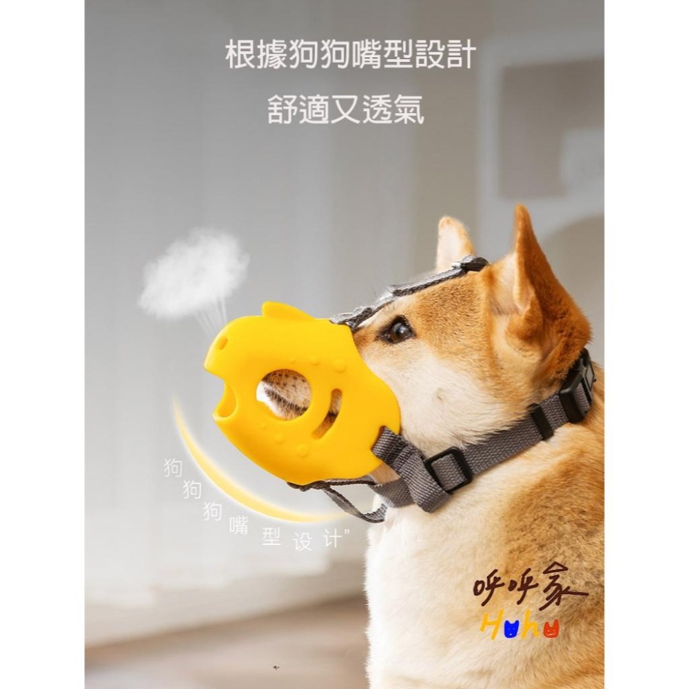 寵物矽膠嘴套 防咬防舔防叫 貓狗-細節圖3