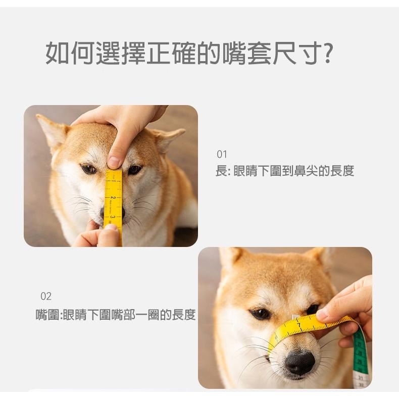 寵物矽膠嘴套 防咬防舔防叫 貓狗-細節圖4
