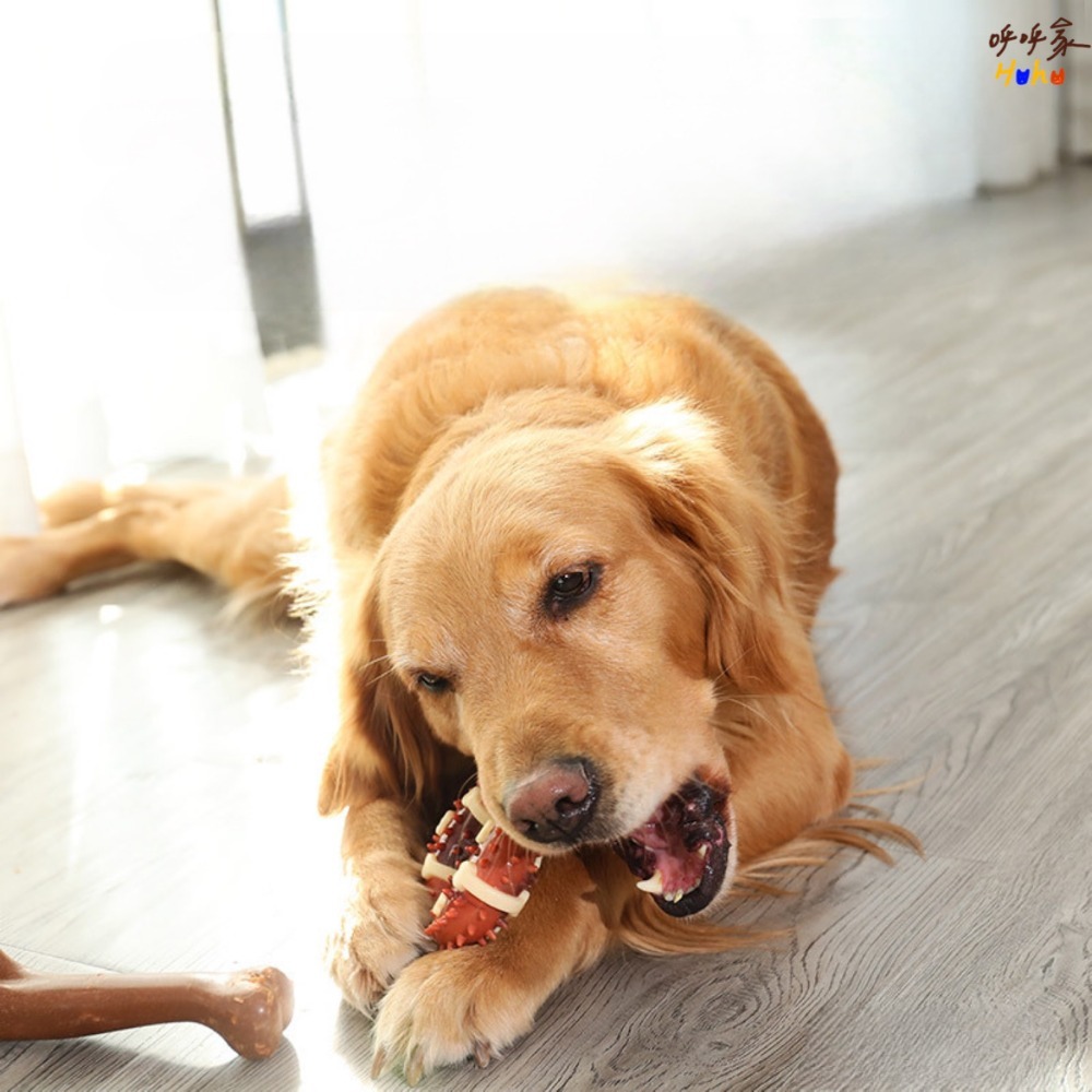 台灣現貨24H出🙌🏻中大型犬骨頭玩具 TPR骨頭 尼龍TPR骨頭 大型犬玩具-規格圖4