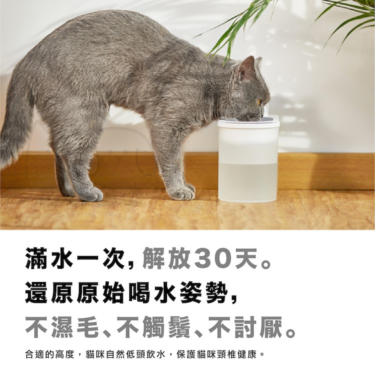 【小呵OHHPET】無線智能飲水機 贈濾心 寵物飲水機 貓咪飲水機 紫外線殺菌燈 自動飲水機 貓飲水機 同PETKO-細節圖5