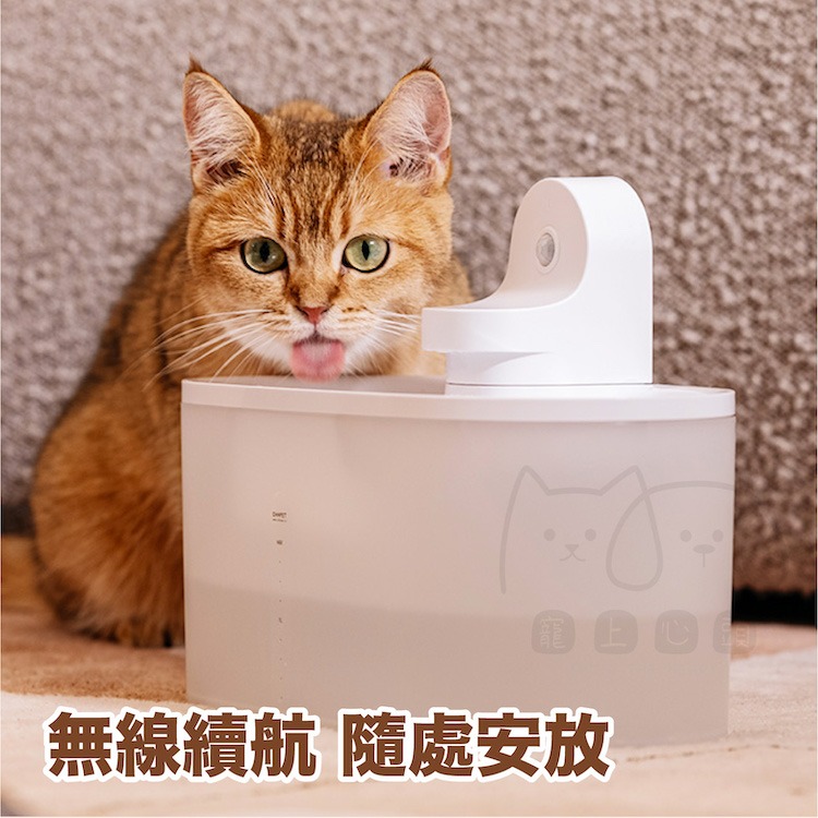 【小呵OHHPET】小呵無線智能飲水機3代 贈送濾心+墊子 寵物飲水機 貓咪飲水機 自動飲水機 貓飲水機 智能飲水機-細節圖5