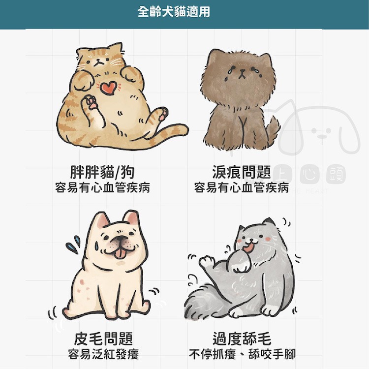 【陪心寵糧 nu4PET】現貨 機能PLUS 3C極淨魚油 寵物魚油 寵物保健食品 貓魚油 狗魚油 眼睛保健 寵物營養品-細節圖4