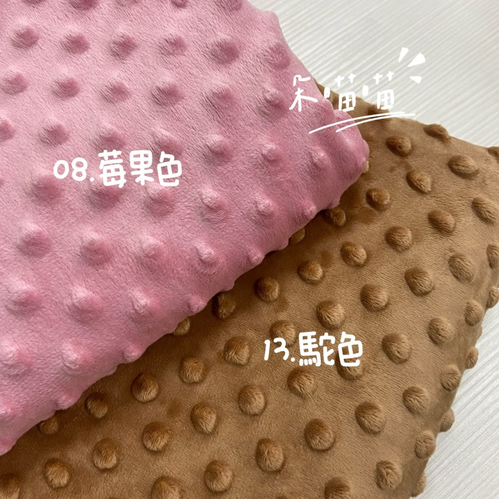 【朵喵喵 現貨 半碼價】布 豆豆布 布料 豆絨布 荳荳毯 豆豆絨 荳荳布 絨布 絨布料 豆豆布料 豆豆毯布料 布料批發-細節圖3