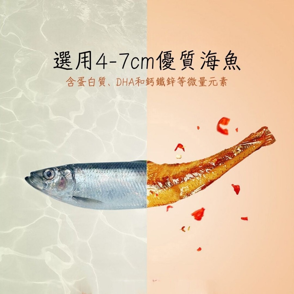 【台灣24H秒發】勁仔小魚乾 小魚干 辣味鮮香 休閒零食 下酒好夥伴 低卡零食 消夜最佳選擇 爆款 台中現貨 快速出貨-細節圖5