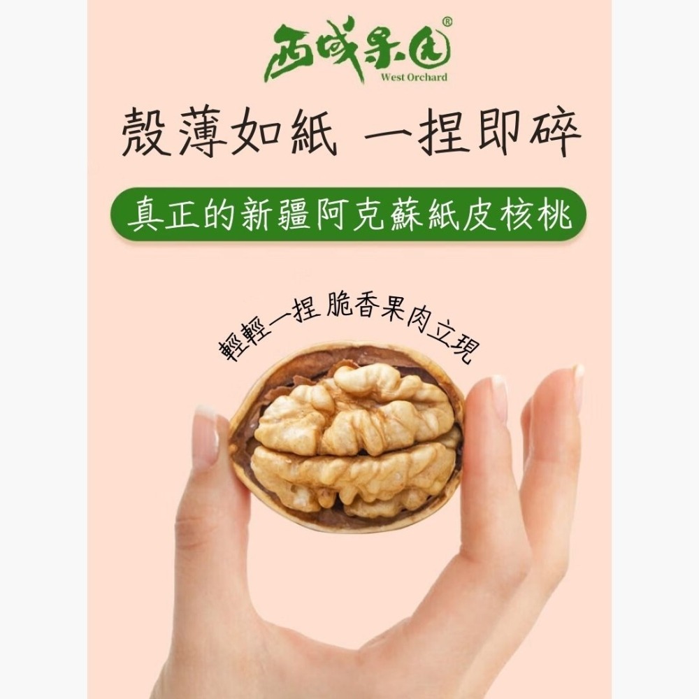 【台灣24H秒發】紙皮核桃 核桃 新疆紙皮核桃 堅果 零食 大陸零食 健康零食 堅果仁 西域果園-細節圖2