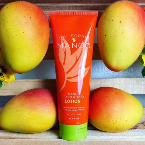 MANGO 絲絲入扣清爽保濕凝乳 9oz 266ml-細節圖3