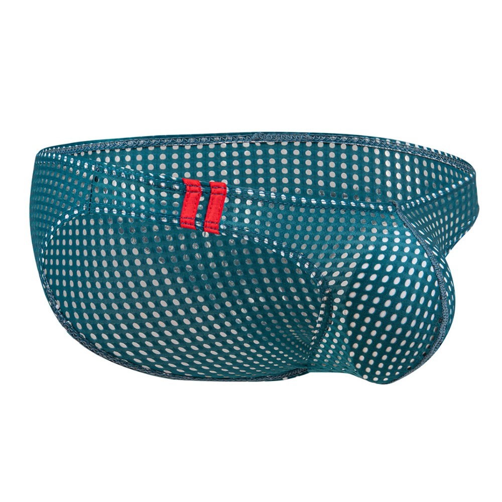 日韓歐美網紅超低腰透氣網洞性感三角褲-規格圖6