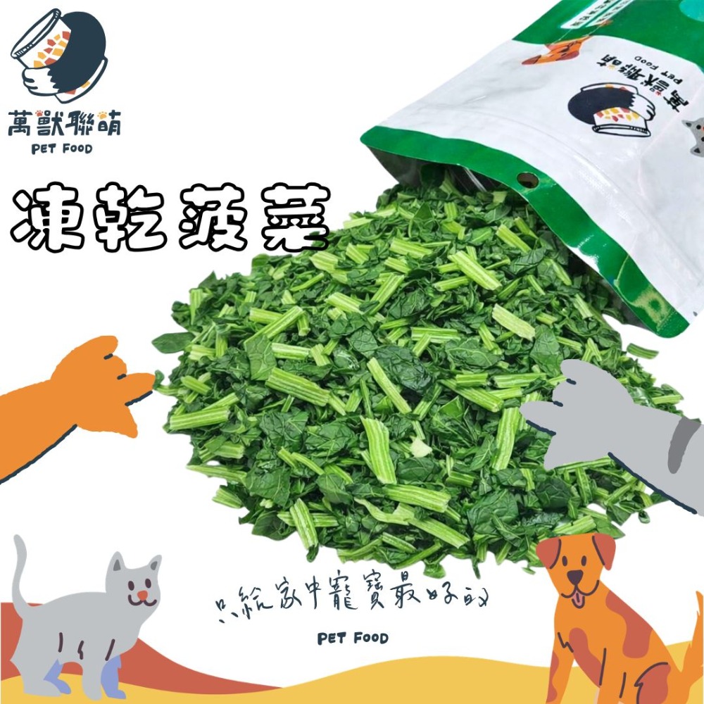 凍乾波菜8G