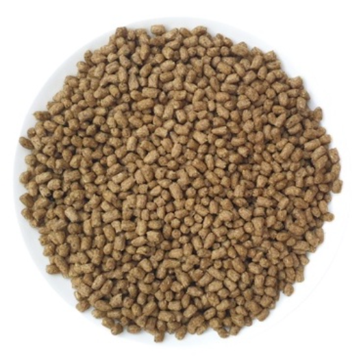 蜜袋鼯飼料 刺蝟飼料 鬆獅蜥飼料 分裝飼料 瑪茲力 Mazuri M牌 100克 食蟲目動物飼料 刺蝟 蜜袋鼯-細節圖5