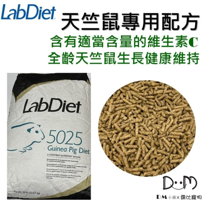 LabDiet 5025 實驗室 天竺鼠 營養完整飼料 維生素C 天竺鼠專用 分裝 1.2KG 100公克 DM小舖