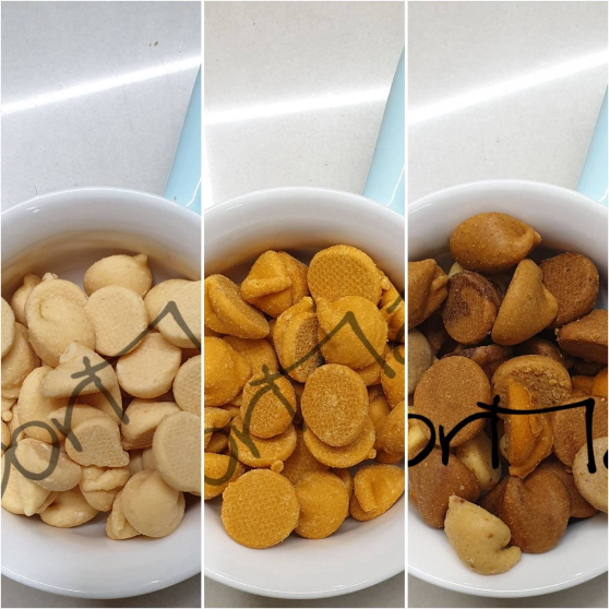 DM小舖｜AM06 優格塊 鼠兔用 分裝 寵物零食 倉鼠點心 倉鼠零食  黃金鼠兔子天竺鼠蜜袋鼯小動物一線鼠老公公-細節圖2