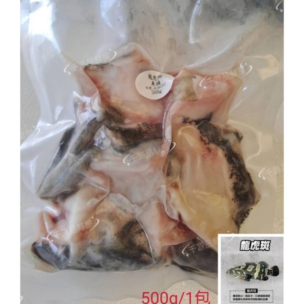 【阡源鮮蒔光】龍虎斑又稱珍珠斑 是透過雜交技術而培育出來 龍虎斑頭 澎湖養殖 箱網-規格圖2