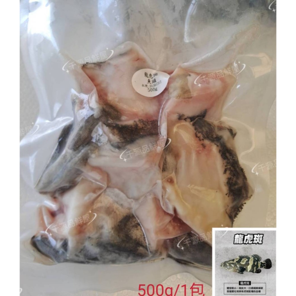 【千源品鮮屋】龍虎斑頭 澎湖養殖 箱網-規格圖1