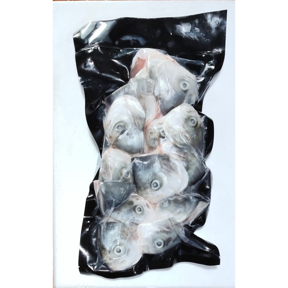【阡源鮮蒔光】紅紗魚 黃金鯧 魚頭 澎湖箱網養殖系列-02 半野生-規格圖3