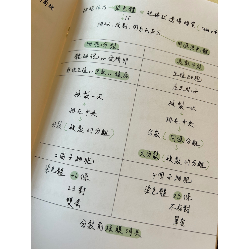 生物筆記-細節圖2