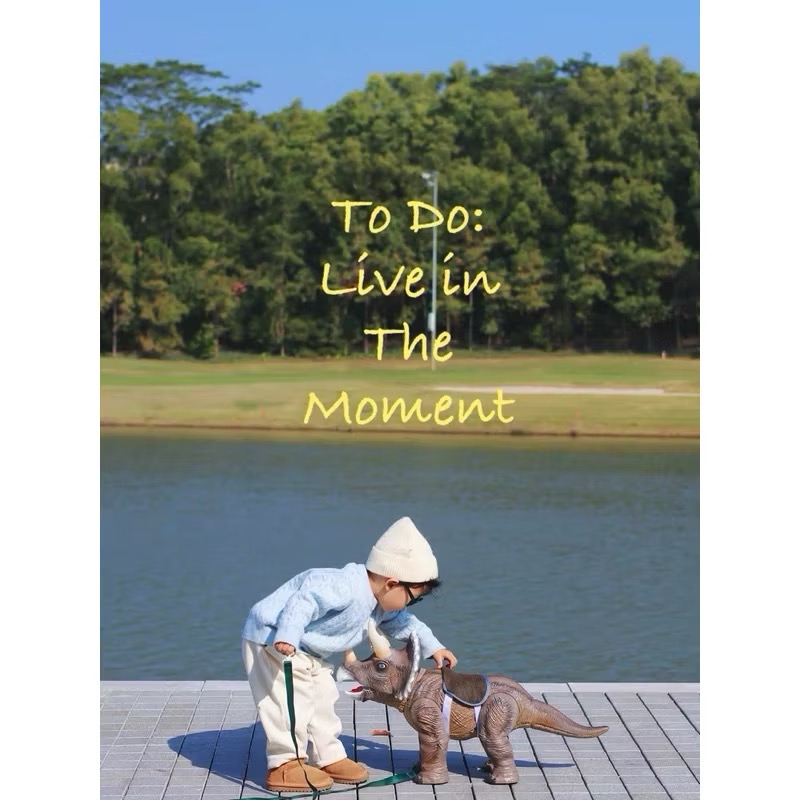 可騎乘的恐龍滑行車禮盒組 恐龍玩具 坐騎恐龍 恐龍禮盒  三角龍玩具-細節圖2