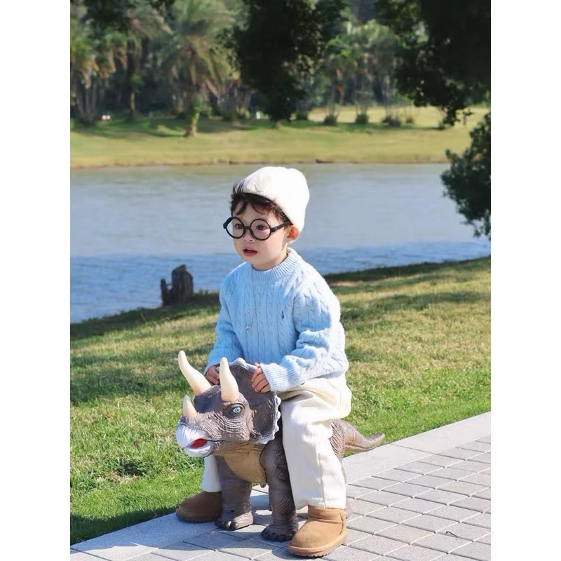 可騎乘的恐龍滑行車禮盒組 恐龍玩具 坐騎恐龍 恐龍禮盒  三角龍玩具-細節圖3