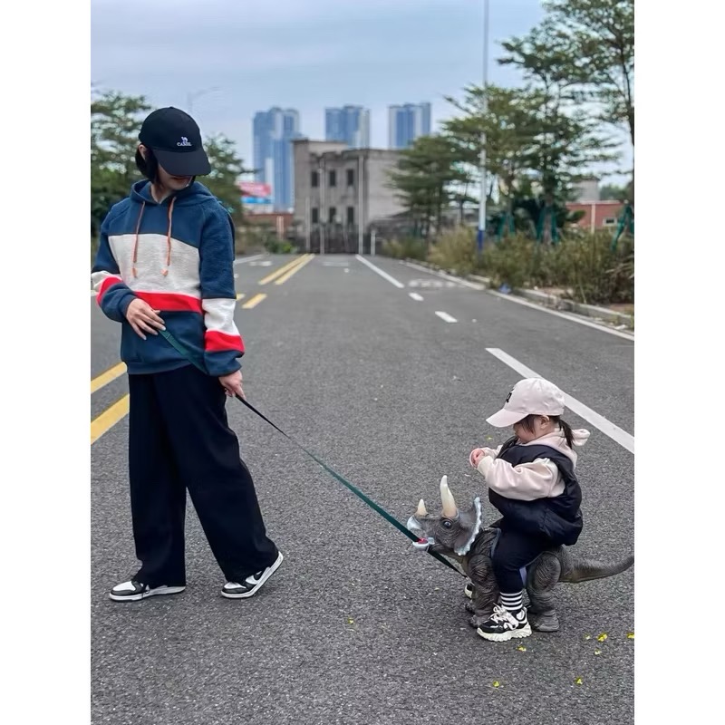 可騎乘的恐龍滑行車禮盒組 恐龍玩具 坐騎恐龍 恐龍禮盒  三角龍玩具-細節圖5