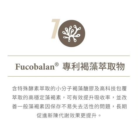 HI-Q 藻衡糖-專利平衡配方 粉劑型 (30包/盒) 褐藻素 褐藻醣膠 苦瓜胜肽 鎮安中西安和藥局-細節圖2