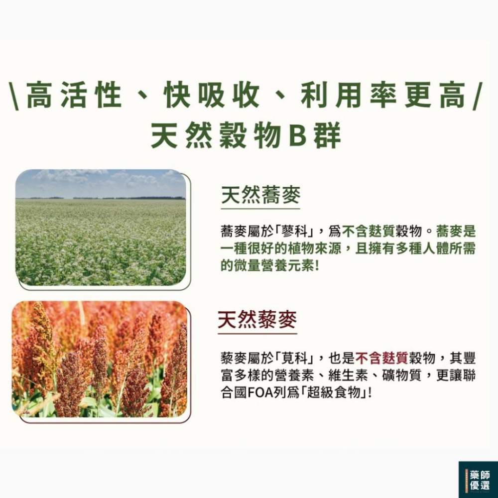 藥局直營 倍鮮天然B群+C 30包/盒 隨時充滿能量 植物萃取B群 全素 孕哺可食 鎮安中西安和藥局-細節圖5