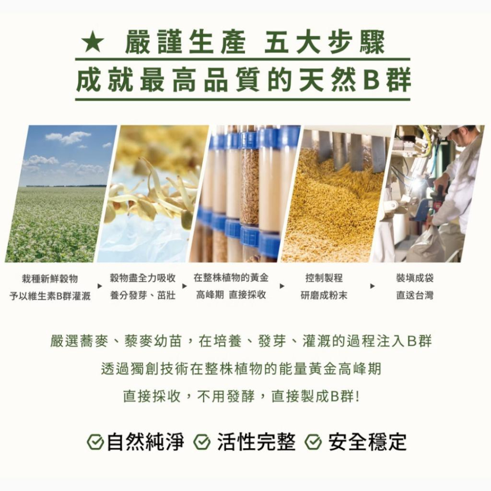 藥局直營 倍鮮天然B群+C 30包/盒 隨時充滿能量 植物萃取B群 全素 孕哺可食 鎮安中西安和藥局-細節圖6