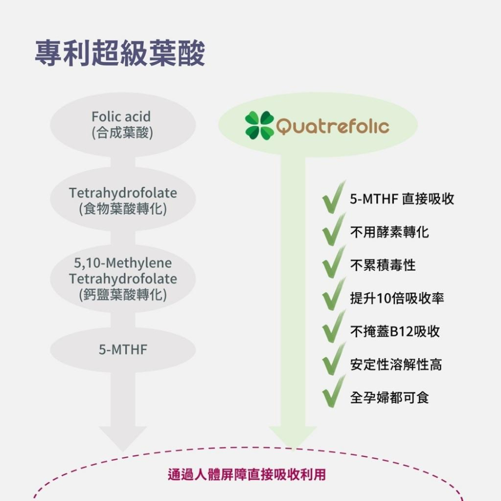 Lady Flower 女子享孕營養果凍 孕期營養補充 女性孕婦補鐵 超級葉酸 14種營養素(30包/盒)-細節圖4