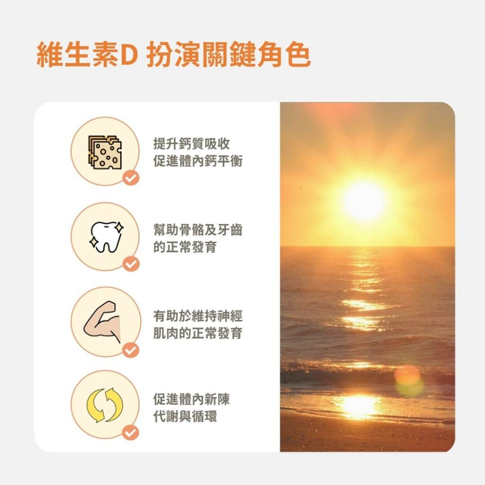 Lady Flower 純萃D3素食膠囊 90粒/盒 素食可食 蕎麥萃取D3 鎮安中西安和藥局-細節圖4