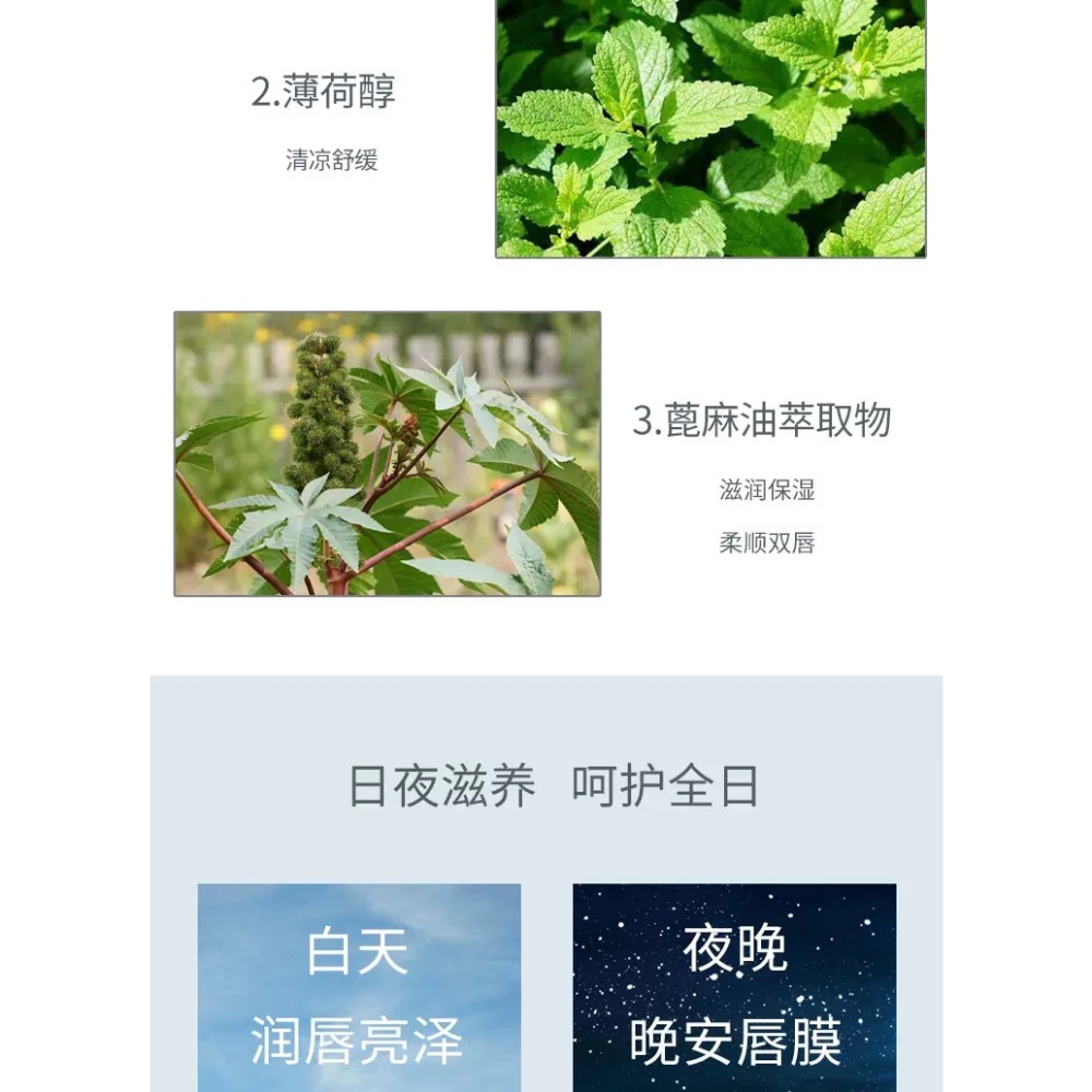 美國碧唇Blistex潤唇膏膜小藍罐-細節圖5